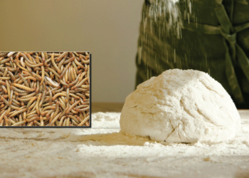 Άλευρα από γρύλλους, αλευροσκοούληκα και ακρίδες στο τραπέζι των Ευρωπαίων - Στην Κομισιόν το θέμα από τη Μαρία Σπυράκη