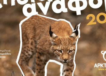 ΑΡΚΤΟΥΡΟΣ: Βάζοντας τις βάσεις για μια νέα εποχή – Ετήσια αναφορά 2022