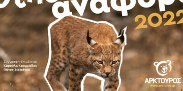 ΑΡΚΤΟΥΡΟΣ: Βάζοντας τις βάσεις για μια νέα εποχή – Ετήσια αναφορά 2022