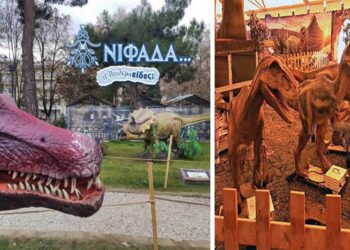 Η Έκθεση Δεινοσαύρων στην Καστοριά και το θετικό παράδειγμα του Δήμου Εορδαίας…