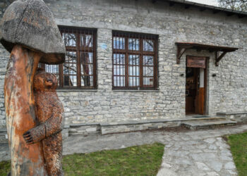 Δήμος Γρεβενών: «Ταξιδεύω Γρεβενά» – Στο Μουσείο Μανιταριών Λάβδας (Βίντεο+Φωτογραφίες)