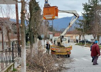 Παρεμβάσεις του τμήματος Πρασίνου του Δήμου Εορδαίας στο Δροσερό -ΦΩΤΟ