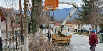 Παρεμβάσεις του τμήματος Πρασίνου του Δήμου Εορδαίας στο Δροσερό -ΦΩΤΟ