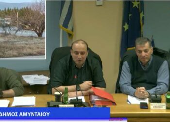 Α. Μπιτάκης στο Δ.Σ. Αμυνταίου για το πρόβλημα με τις μπάρες στις διαβάσεις τρένου: “Η επόμενη κίνηση είναι με τα έγγραφα που έχω από τον ΟΣΕ να πάω στον Εισαγγελέα για να τους υποχρεώσω να εκπαιδεύουν το προσωπικό τους”