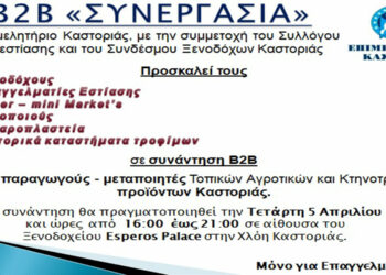 Επιμελητήριο Καστοριάς: Συνάντηση γνωριμίας B2B παραγωγών με επιχειρηματίες