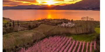 Ο ανθισμένος κάμπος του Βελβεντού σκέτη …μαγεία – Η υπέροχη φωτογραφία του Μάνου Δημουδιά