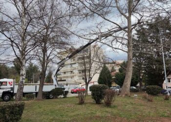 Τοποθέτηση πυλώνων φωτισμού σε πάρκα του Δήμου Εορδαίας