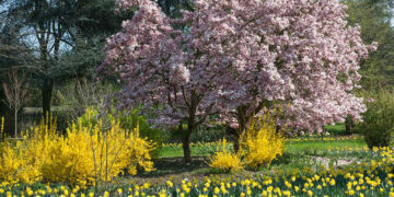 Σήμερα η εαρινή ισημερία – Σηματοδοτεί την μετεωρολογική έναρξη της άνοιξης