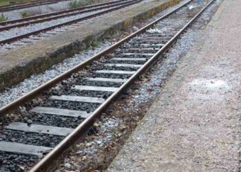 Διαμαρτυρία Συλλόγων Γονέων και Κηδεμόνων 1ου, 2ου και 3ου Δημοτικού Σχολείου Αμυνταίου στη διάβαση των τρένων