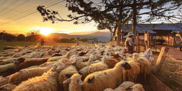 ΥΠΑΑΤ: Εκδόθηκε η 2η Πρόσκληση του Μέτρου 22 για την ενίσχυση των κτηνοτρόφων