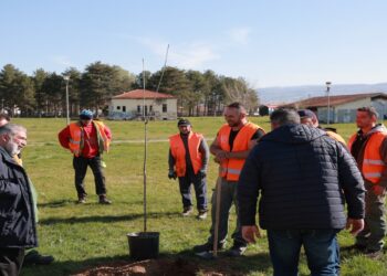 Σε δενδροφυτεύσεις στο Πάρκο Εκτάκτων Αναγκών προχώρησε ο Δήμος Εορδαίας  