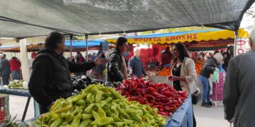 Στη λαϊκή αγορά της Κοζάνης η Έφη Μιχελάκη: «Η στήριξη παραγωγών και καταναλωτών είναι επιτακτική ανάγκη και πρέπει να επιτευχθεί με ένα πραγματικό πρόγραμμα ενίσχυσης»