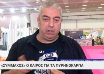 Ροδάκινα και νεκταρίνια οδεύουν εφέτος για μια κανονική παραγωγή – Τι λέει ο πρόεδρος του ΑΣΕΠΟΠ Βελβεντού Νίκος Κουτλιάμπας-VIDEO
