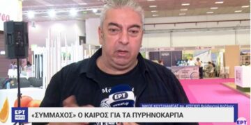 Ροδάκινα και νεκταρίνια οδεύουν εφέτος για μια κανονική παραγωγή – Τι λέει ο πρόεδρος του ΑΣΕΠΟΠ Βελβεντού Νίκος Κουτλιάμπας-VIDEO