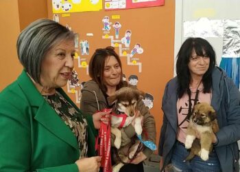 Πτολεμαΐδα: Γνωριμία με τα αδέσποτα ζώα του Καταφυγίου, στο ΚΔΑΠ ΑΜΕΑ “Περί Παίδων Αγωγής”