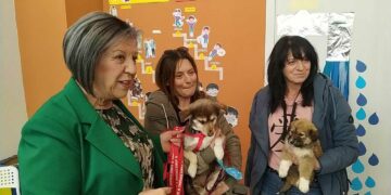 Πτολεμαΐδα: Γνωριμία με τα αδέσποτα ζώα του Καταφυγίου, στο ΚΔΑΠ ΑΜΕΑ “Περί Παίδων Αγωγής”
