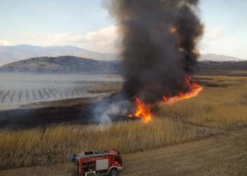 Αιχμηρή ανακοίνωση του Συλλόγου προστασίας Βεγορίτιδας για την αλόγιστη καύση των καλαμιών της λίμνης