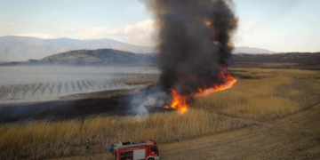 Αιχμηρή ανακοίνωση του Συλλόγου προστασίας Βεγορίτιδας για την αλόγιστη καύση των καλαμιών της λίμνης