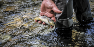 Απαγόρευση αλιείας στις λίμνες και τα ποτάμια της Περιφέρειας Δυτικής Μακεδονίας λόγω αναπαραγωγής των ψαριών