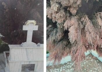 Πτολεμαΐδα: Μεγάλα και ογκώδη δέντρα στα κοιμητήρια, ταλαιπωρούν τους πολίτες
