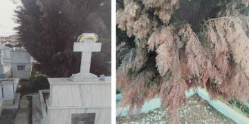 Πτολεμαΐδα: Μεγάλα και ογκώδη δέντρα στα κοιμητήρια, ταλαιπωρούν τους πολίτες