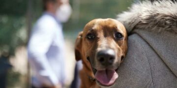 Δήμος Εορδαίας: Διοργανώνεται διήμερο στειρώσεων ζώων συντροφιάς το Σάββατο 29 και την Κυριακή 30 Απριλίου