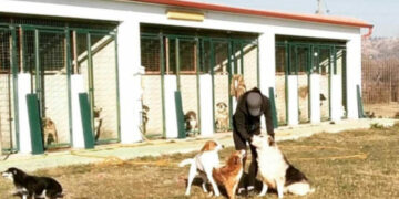 Δωρεάν σήμανση και εμβολιασμό δεσποζόμενων ζώων ευπαθών ομάδων και κτηνοτρόφων από τον Δήμο Εορδαίας