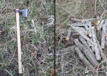 Καστοριά: Αλλοδαπός μπήκε παράνομα στη χώρα και έκοβε ξύλα στο βουνό – Συνελήφθη από την αστυνομία