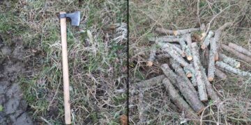 Καστοριά: Αλλοδαπός μπήκε παράνομα στη χώρα και έκοβε ξύλα στο βουνό – Συνελήφθη από την αστυνομία