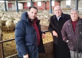 Μ. Παπαδόπουλος: Σήμερα πιστώνονται οι πληρωμές για το γάλα αιγοπροβάτων σε 829 δικαιούχους στην ΠΕ Κοζάνης