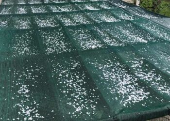 Ισχυρή χαλαζόπτωση έπεσε στο Βελβεντό πριν από λίγο -ΦΩΤΟ