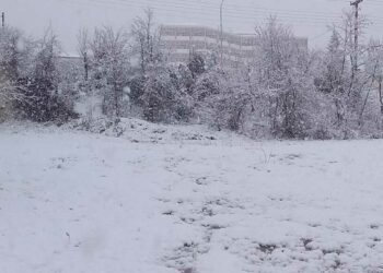 Σ. Αρναούτογλου: “Στα 10 εκατοστά το χιόνι την Πέμπτη μέσα στην πόλη της Φλώρινας”