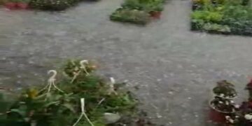 Πτολεμαΐδα: Τεράστιας έκτασης και η ζημιά στην ανθοκομική έκθεση μετά την σφοδρή χαλαζόπτωση (βίντεο)