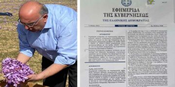 M. Παπαδόπουλος: “Οι αποζημιώσεις για τους δικαιούχους παραγωγούς κρόκου καταβάλλονται από σήμερα”