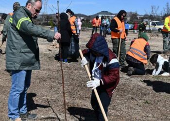 Δενδροφυτεύσεις στην Κοινότητα Πετρανών του Δήμου Κοζάνης και εκπαιδεύσεις από τη ΔΕΗ και τη We4all