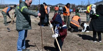 Δενδροφυτεύσεις στην Κοινότητα Πετρανών του Δήμου Κοζάνης και εκπαιδεύσεις από τη ΔΕΗ και τη We4all