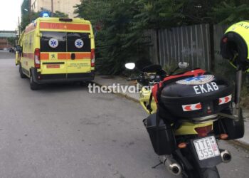 Θεσσαλονίκη: Οχιά δάγκωσε ερπετολόγο σε σχολείο