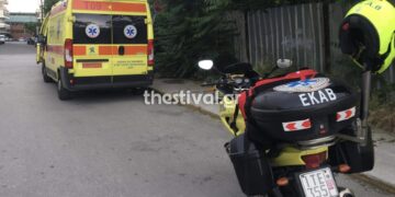 Θεσσαλονίκη: Οχιά δάγκωσε ερπετολόγο σε σχολείο