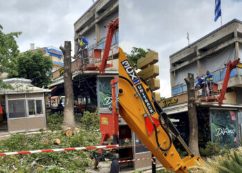 Έκοψαν μεγάλο δέντρο στο κέντρο της Πτολεμαΐδας – Οι τεράστιες ρίζες δημιούργησαν προβλήματα στο πεζοδρόμιο και σε παρακείμενα καταστήματα εστίασης