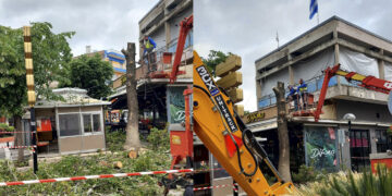 Έκοψαν μεγάλο δέντρο στο κέντρο της Πτολεμαΐδας – Οι τεράστιες ρίζες δημιούργησαν προβλήματα στο πεζοδρόμιο και σε παρακείμενα καταστήματα εστίασης