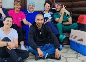 Εμβολιασμοί και στειρώσεις σε αδέσποτες γάτες από τον Δήμο Καστοριάς και την Εθελοντική Δράση Κτηνιάτρων Ελλάδας