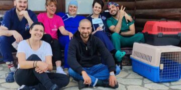 Εμβολιασμοί και στειρώσεις σε αδέσποτες γάτες από τον Δήμο Καστοριάς και την Εθελοντική Δράση Κτηνιάτρων Ελλάδας