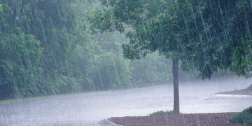 Εορδαία: Άστατος ο καιρός και την επόμενη εβδομάδα – Η υγρασία και οι σημαντικές αποκλίσεις της θερμοκρασίας επηρεάζουν σημαντικά τα δέντρα