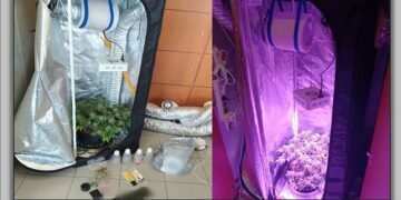 Φλώρινα: Συνελήφθη 22χρονος - Καλλιεργούσε στο σπίτι του κάνναβη με την μέθοδο της υδροπονικής καλλιέργειας