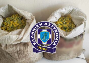 Καστοριά: Συνελήφθησαν 3 αλλοδαποί – Μπήκαν παράνομα στη χώρα και μάζευαν θεραπευτικά φυτά με σκοπό να τα πουλήσουν