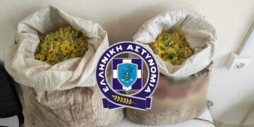 Καστοριά: Συνελήφθησαν 3 αλλοδαποί – Μπήκαν παράνομα στη χώρα και μάζευαν θεραπευτικά φυτά με σκοπό να τα πουλήσουν