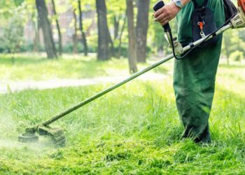 Δήμος Κοζάνης: Υπενθύμιση υποχρέωσης καθαρισμού των οικοπέδων – Πρόστιμα για τους μη συνεπείς πολίτες