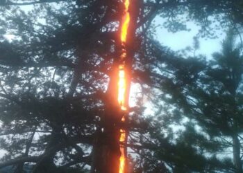 Κεραυνός χτυπάει δέντρο στη Σμίξη Γρεβενών – Εντυπωσιακή εικόνα