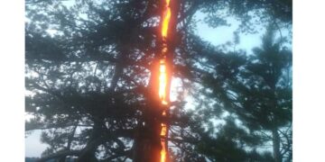 Κεραυνός χτυπάει δέντρο στη Σμίξη Γρεβενών – Εντυπωσιακή εικόνα