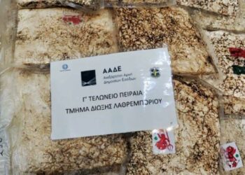 Μεγάλη επιτυχία της ΑΑΔΕ: Κατάσχεσαν φορτίο με 420 κιλά κοκαΐνης, κρυμμένα σε ανανάδες